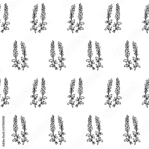 Lavander plant sketch seamless pattern. Hand drawn ink art design object isolated stock vector illustration for web, for print, for packing design medicinal plants