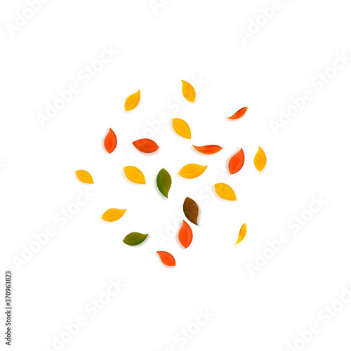 Falling autumn leaves. Red, yellow, green, brown r