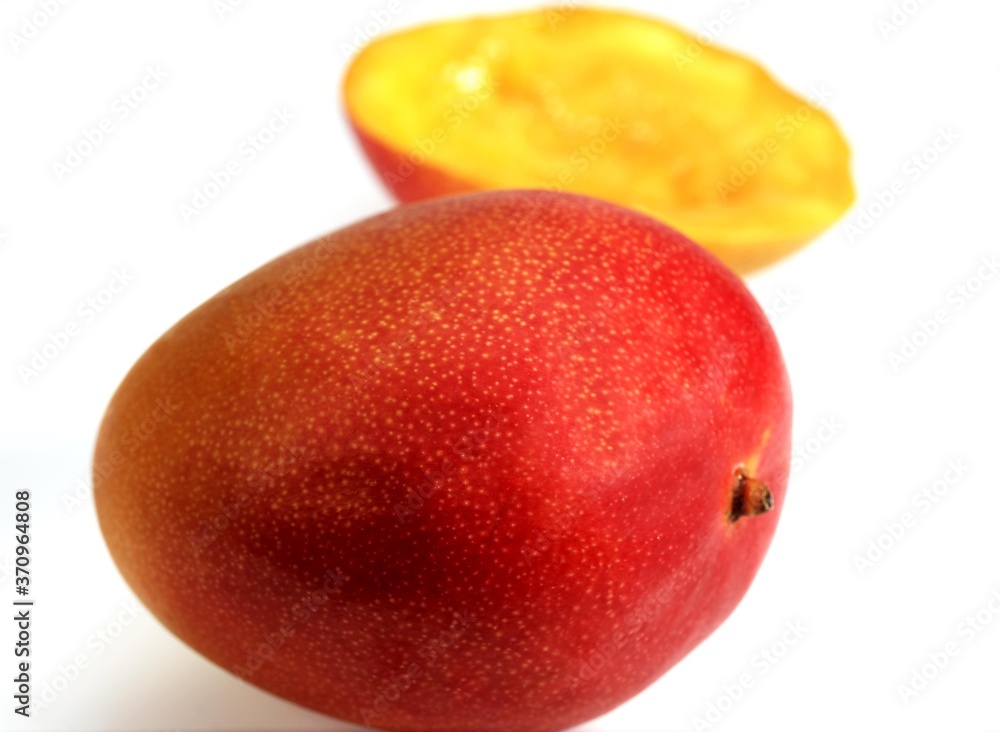 Fototapeta premium Mango, mangifera indica, Fruits against White Background