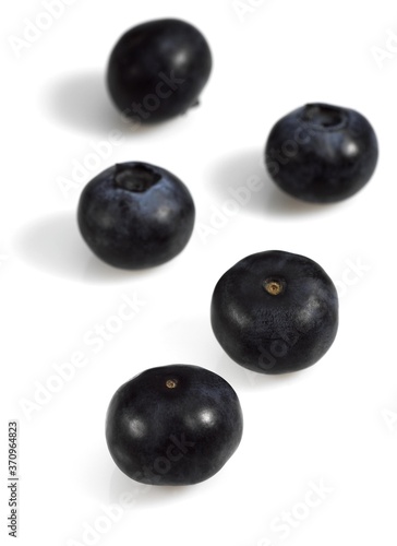 Blueberry or Bilberry, vaccinium myrtillus, Fruits against White Background