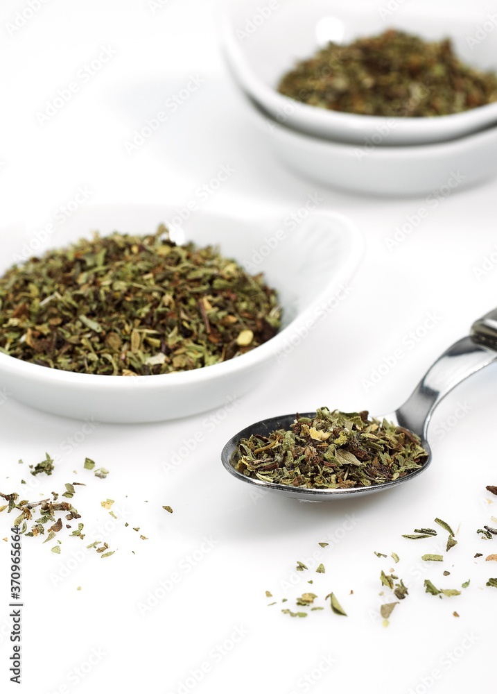 Oregano or Marjoramo, origanum majorana, Aromate against White Background Oregano or Marjoramo, origanum majorana, Aromate against White Background