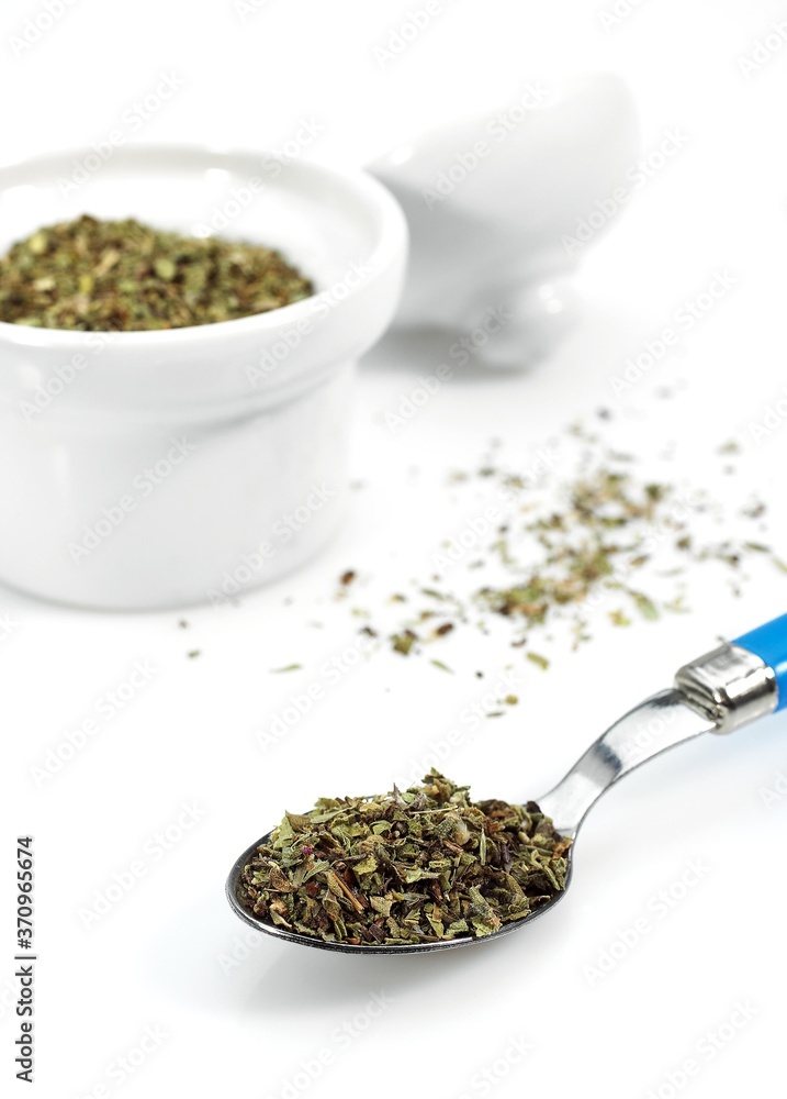 Oregano or Marjoramo, origanum majorana, Aromate against White Background Oregano or Marjoramo, origanum majorana, Aromate against White Background