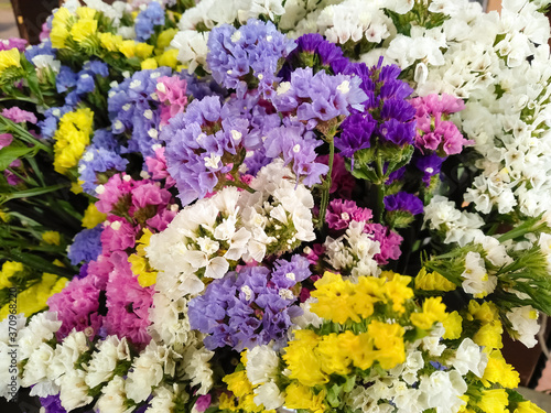 Variety of limonium sinuatum or kermek flowers in violet, blue, white, yellow, pink colors. Close-up bouquet of colourful flowers statice in the garden shop. Kermek blooming flowers, background.