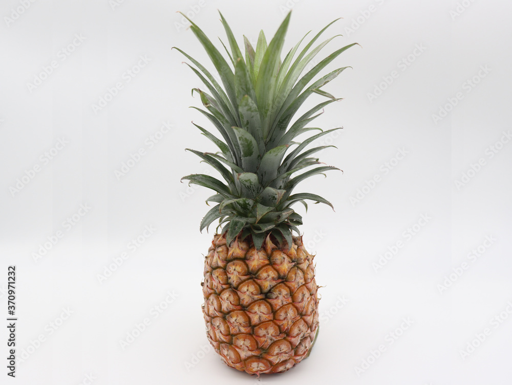 pineapple on a white background pineapple on a white background