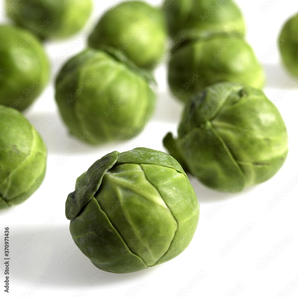Brussels Sprouts, brassica oleracea, Vegetables against White Background Brussels Sprouts, brassica oleracea, Vegetables against White Background