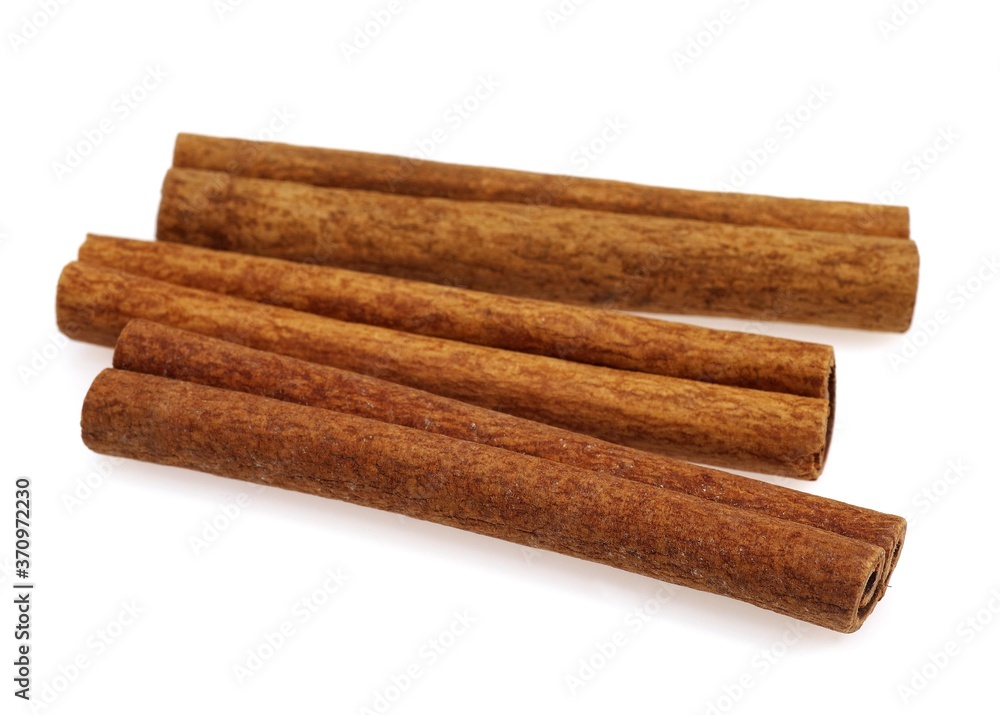 Cinnamon Bark, cinnamomum zeylanicum, Spice against White Background Cinnamon Bark, cinnamomum zeylanicum, Spice against White Background