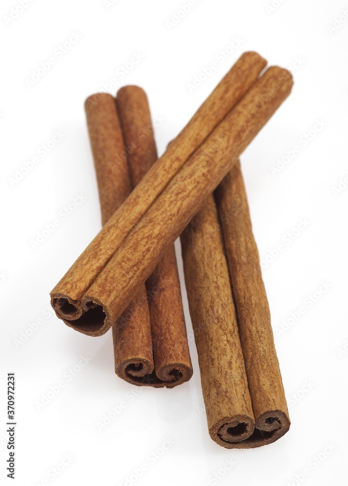 Cinnamon Bark, cinnamomum zeylanicum, Spice against White Background