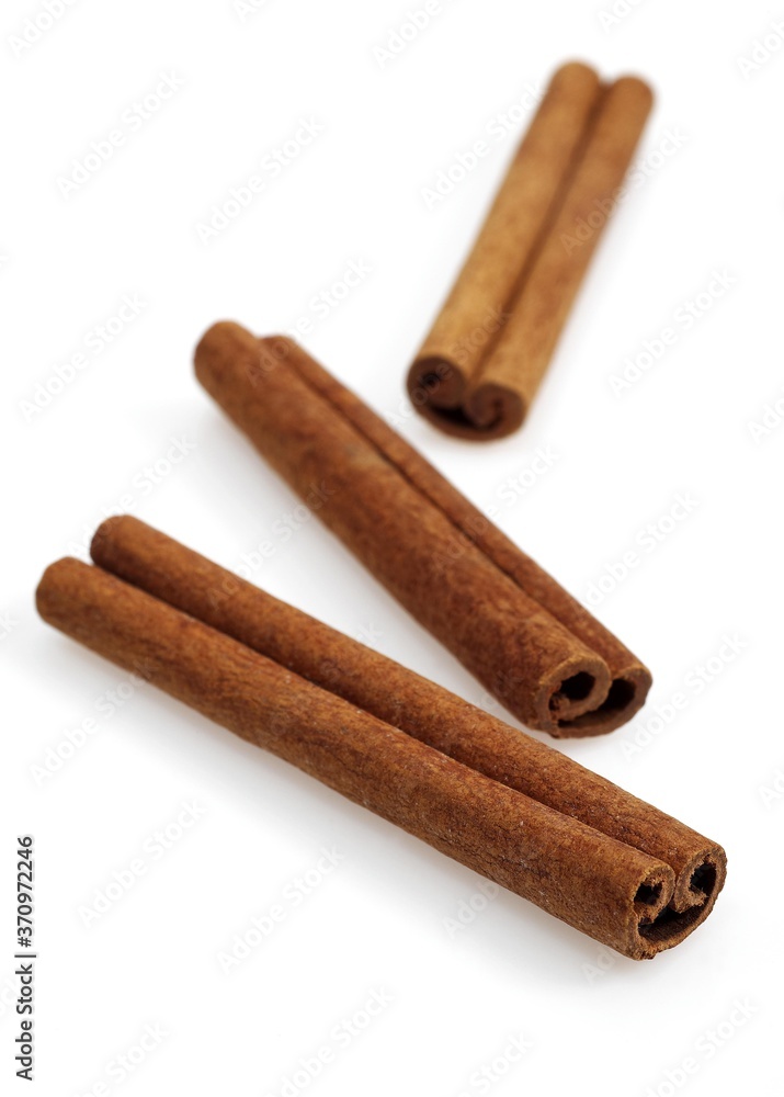 Cinnamon Bark, cinnamomum zeylanicum, Spice against White Background Cinnamon Bark, cinnamomum zeylanicum, Spice against White Background