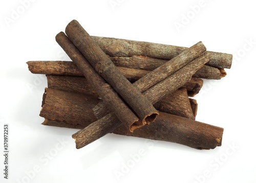 Chinese Cinnamon or Cassia Cinnamon, cinnamomum aromaticum photo