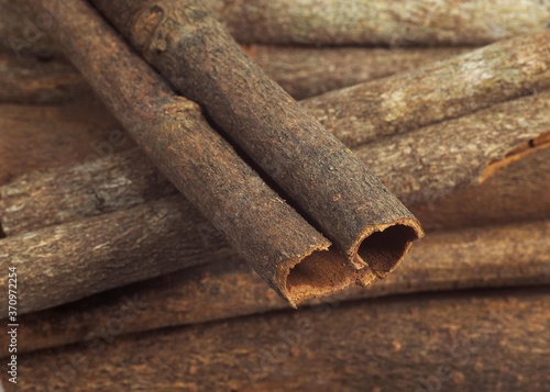 Fotografija Chinese Cinnamon or Cassia Cinnamon, cinnamomum aromaticum