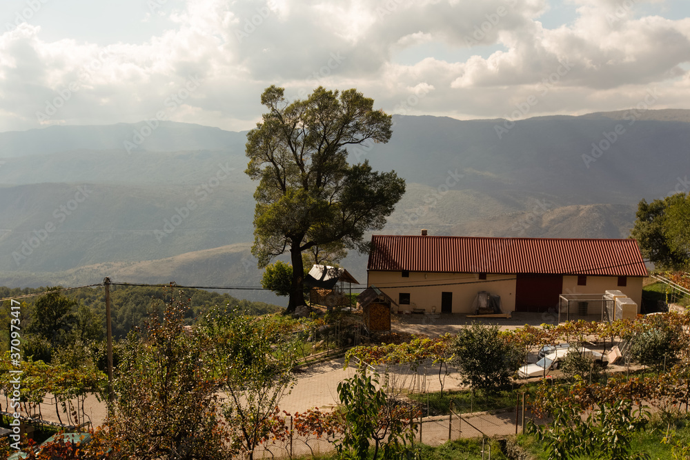 Red roof farm house with farmstead, lonely high tree against far mountains and white clouds. Montenegro. Rural mountain landscape.