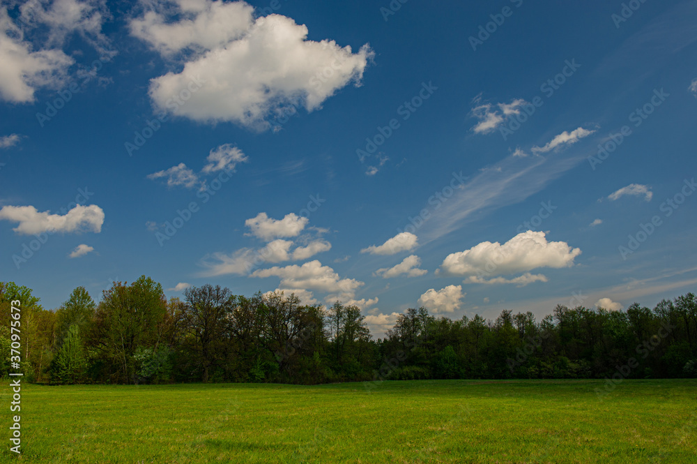 Deciduous forest and green meadow against the blue sky. Deciduous forest and green meadow against the blue sky.