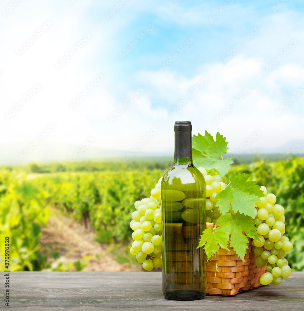 Fototapeta premium Winogrona i wino przed krajobrazem winnicy