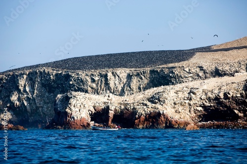 Guanay Cormorant, phalacrocorax bougainvillii, Colony at Ballestas Islands in Paracas National Park, Guano Producer, Peru photo