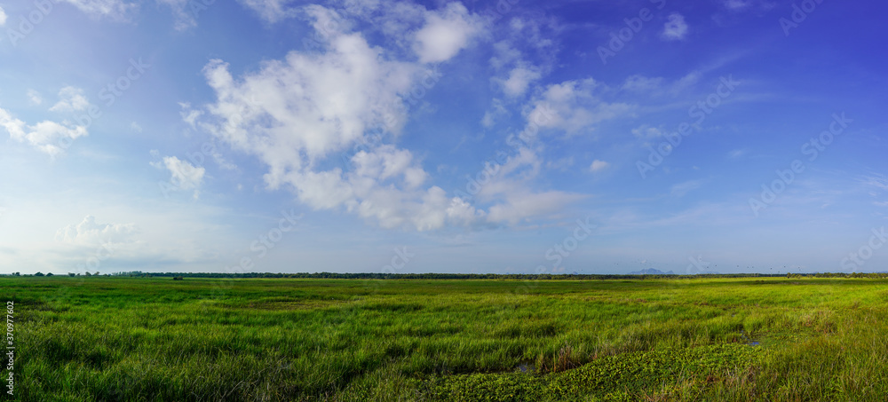 green field and blue sky lanscape background panorama
