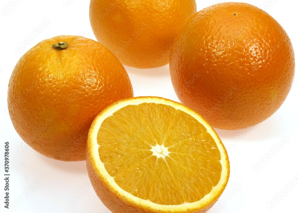 Orange, citrus sinensis, Fruits against White Background Orange, citrus sinensis, Fruits against White Background