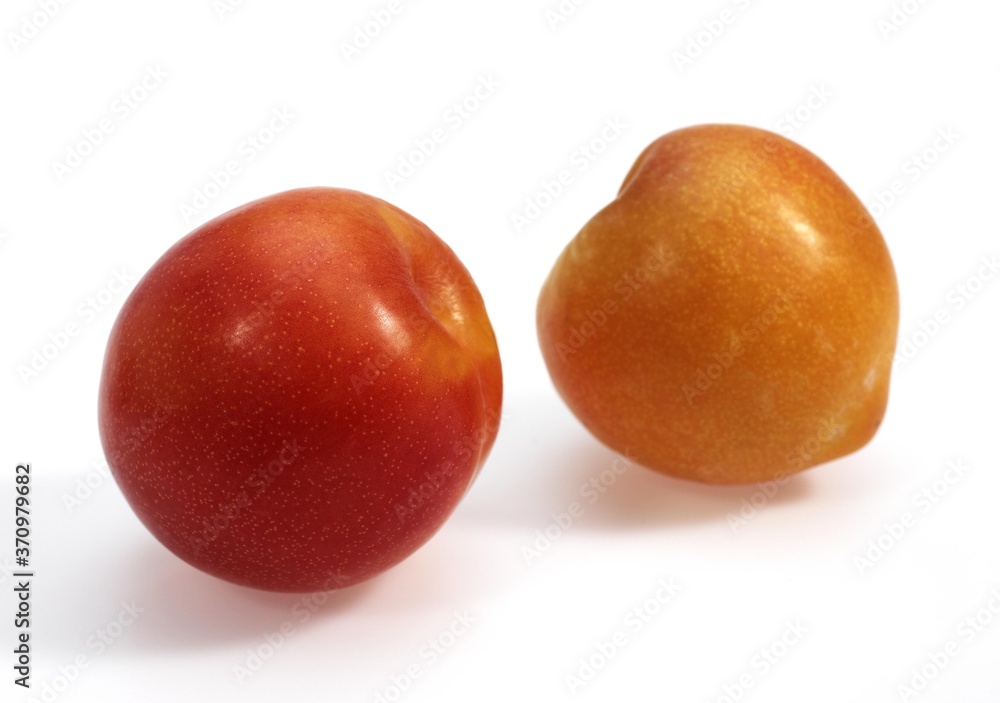 Yellow Plums, Fruits against White Background Yellow Plums, Fruits against White Background