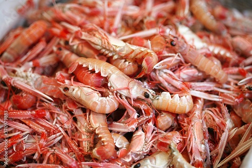 Dublin Bay Prawns or Norway Lobsters or Scampi, nephrops norvegicus at Fishmonger's Shop