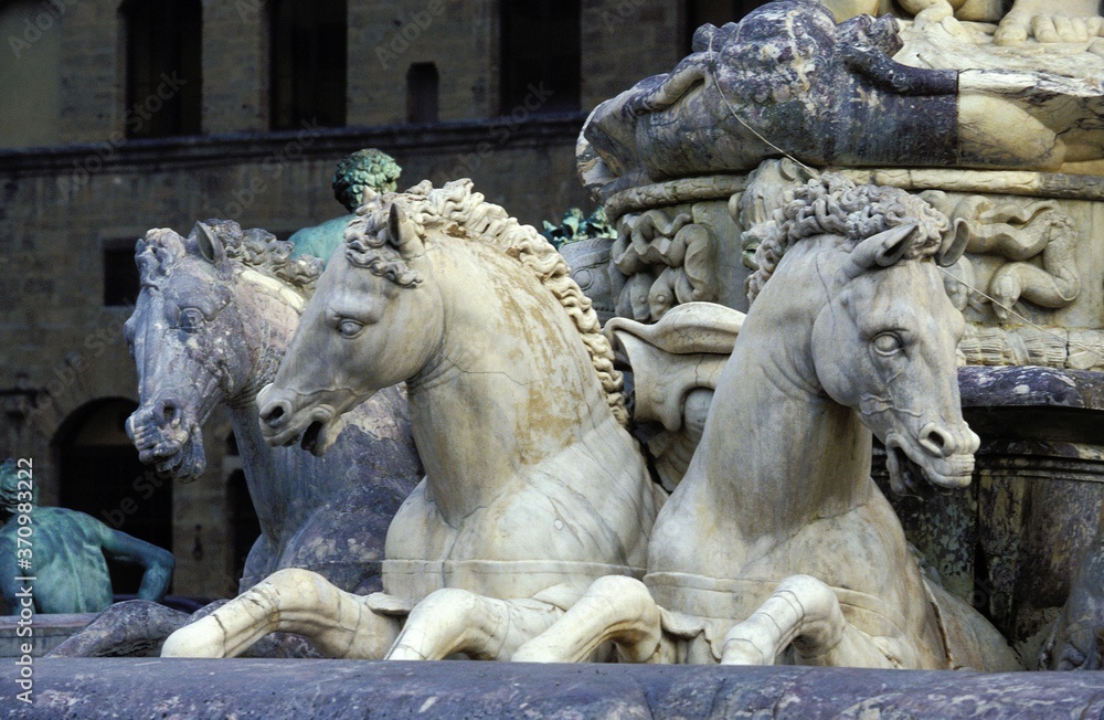 Horses at Trevi Fountain in Roma Horses at Trevi Fountain in Roma