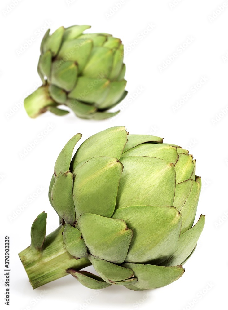 Fototapeta premium Camus Artichoke, cynara scolymus, Vegetable against White Background