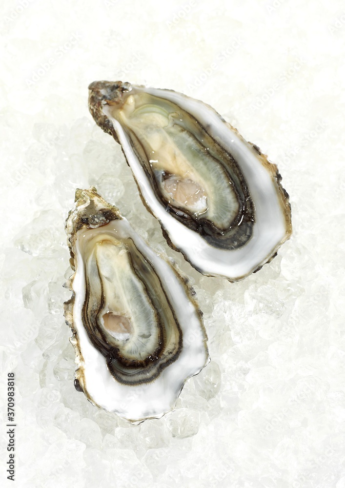 French Oyster called Marennes d'Oleron, Fresh Seafood on Ice French Oyster called Marennes d'Oleron, Fresh Seafood on Ice