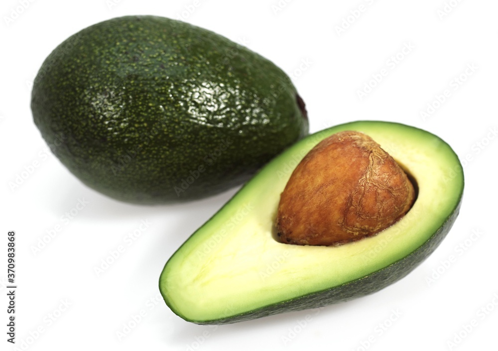 Avocado, persea gratissima against White Background Avocado, persea gratissima against White Background