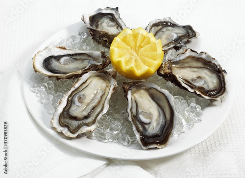 French Oyster called Marennes d'Oleron, Fresh Seafood on Ice