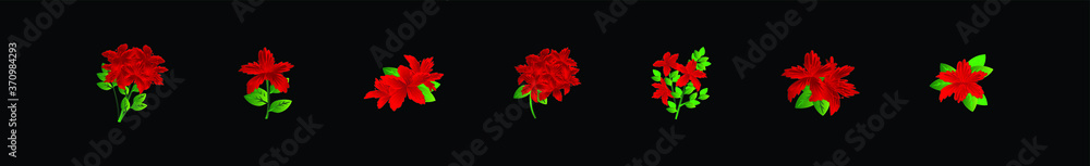 set of flower design template for logo, clip art and more. vector illustration isolated on black background