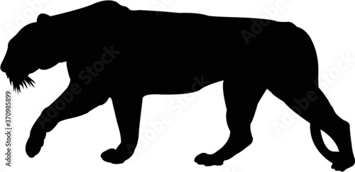 vector silhouette of a tiger