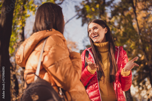 Photo of two students fellows girls rest relax autumn yellow walk forest tell say college news wear outerwear bag in outdoors