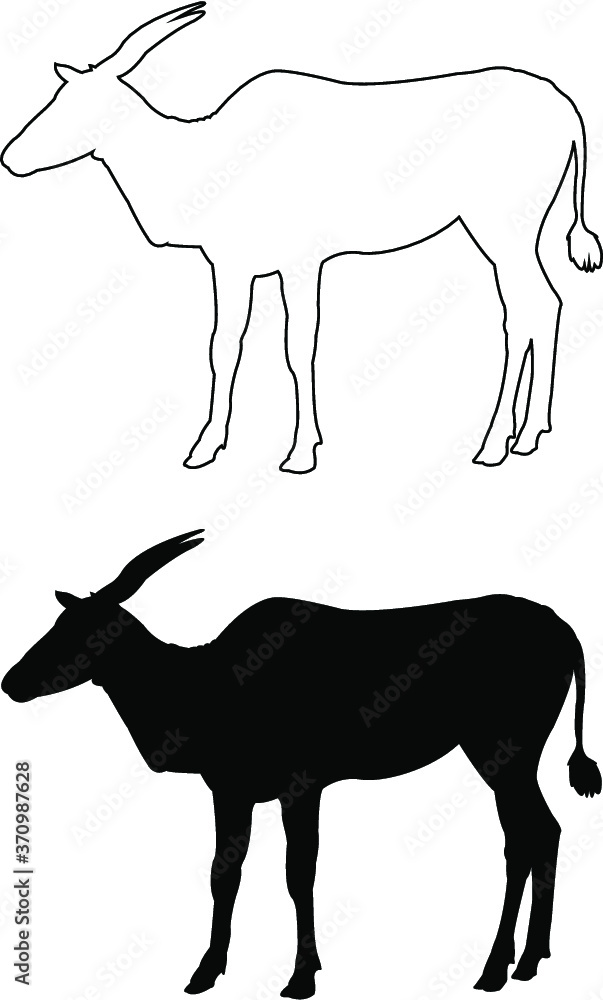 Fototapeta premium silhouette of an antelope
