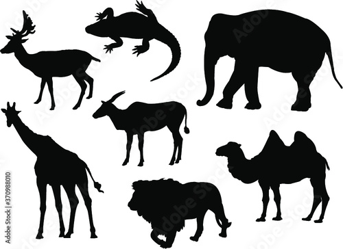 Fototapeta Naklejka Na Ścianę i Meble -  wild animals silhouettes