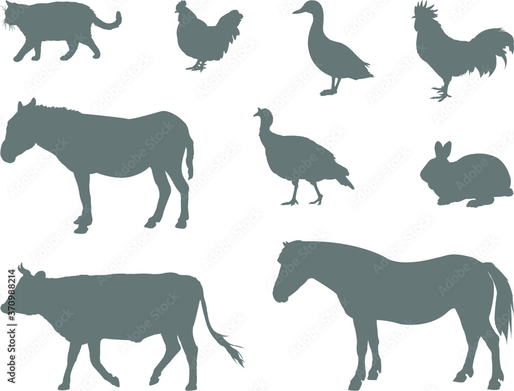 farm animals collection