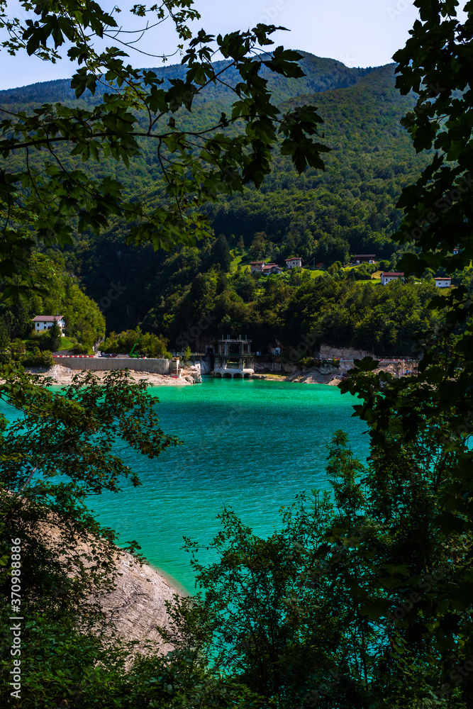 lake in the forest