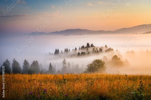beautiful landscape with valleys, lakes and rivers in Pieniny mountains in fog