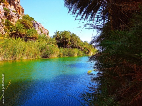 Palm Tree Forest and Palm Trees near Lake view at Preveli, Rethymno in Crete, Greece