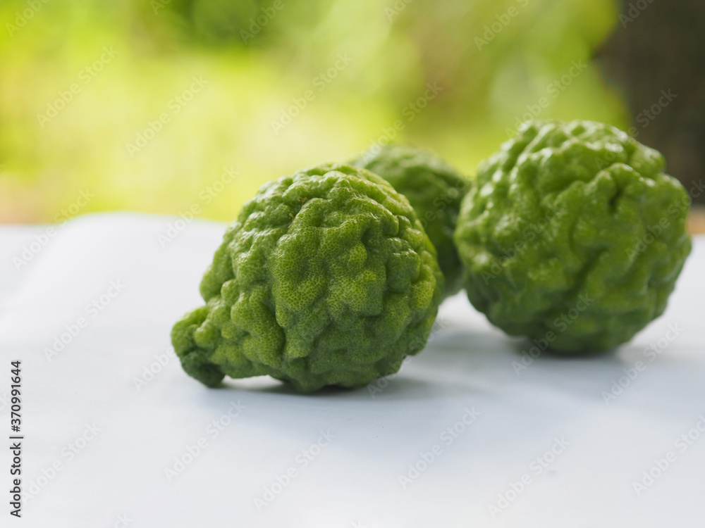 Fototapeta premium kaffir lime, Leech Lime Citrus hystrix DC Scientific name rough skin green vegetable