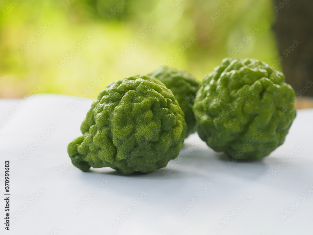 Obraz premium kaffir lime, Leech Lime Citrus hystrix DC Scientific name rough skin green vegetable