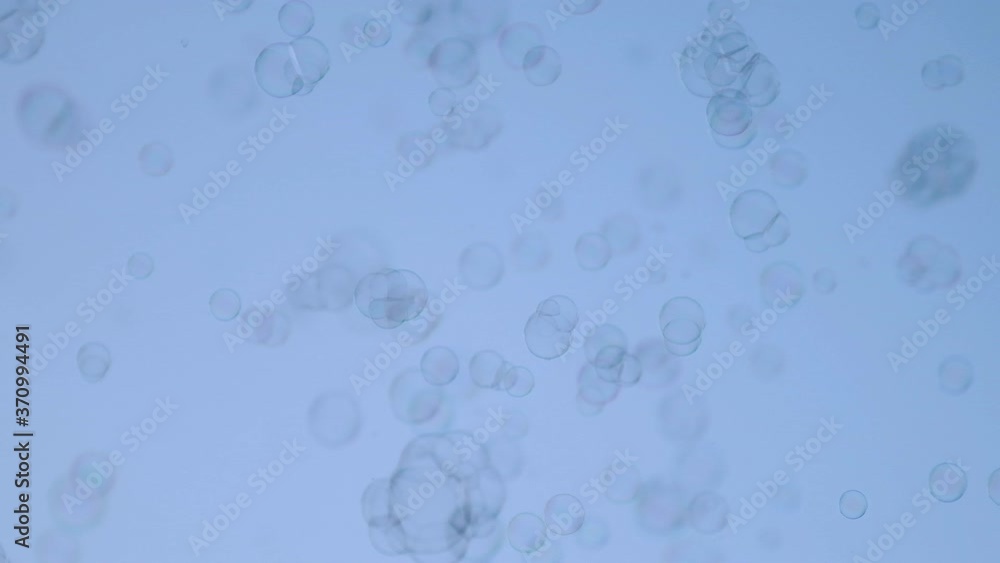 Funny soap bubbles flutter on a blue background Funny soap bubbles flutter on a blue background