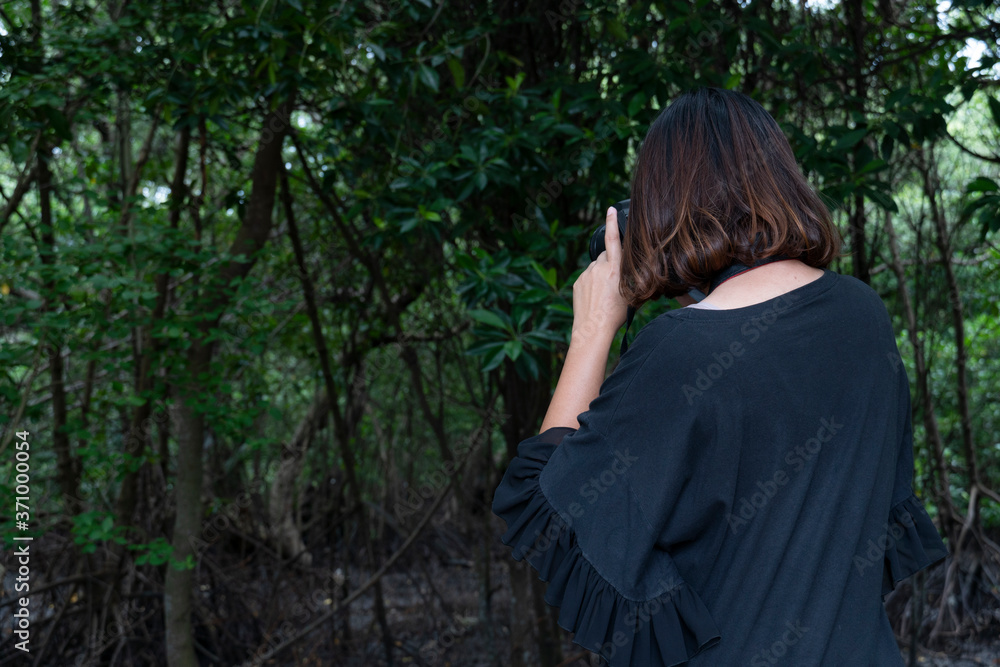 A woman in a black shirt stands back to take pictures in the dark forest. A woman in a black shirt stands back to take pictures in the dark forest.