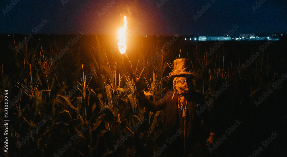 Fototapeta premium Walking dead zombie stands in cornfield with burning torch.