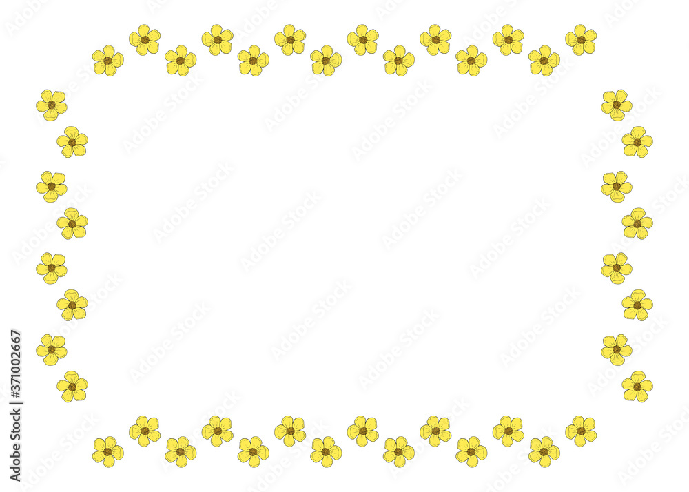Frame with stylish buttercups on white background. Vector image.