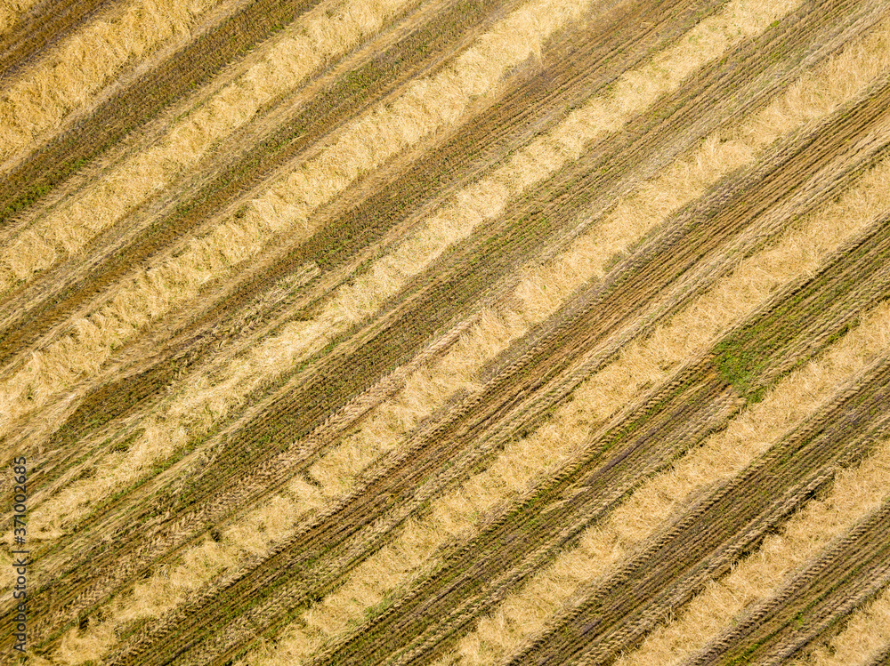 Aerial drone view. Harvested Ukrainian wheat field. Aerial drone view. Harvested Ukrainian wheat field.