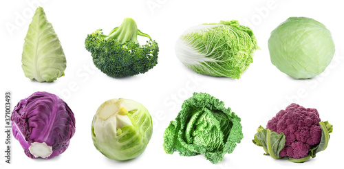 Set with assortment of cabbages on white background. Banner design