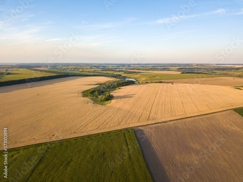 Ukrainian wheat field. Aerial drone view.