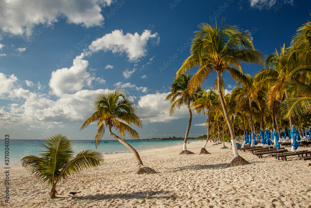 Obraz premium Beatiful beaches of Riviera maya in Tulum, Mexico