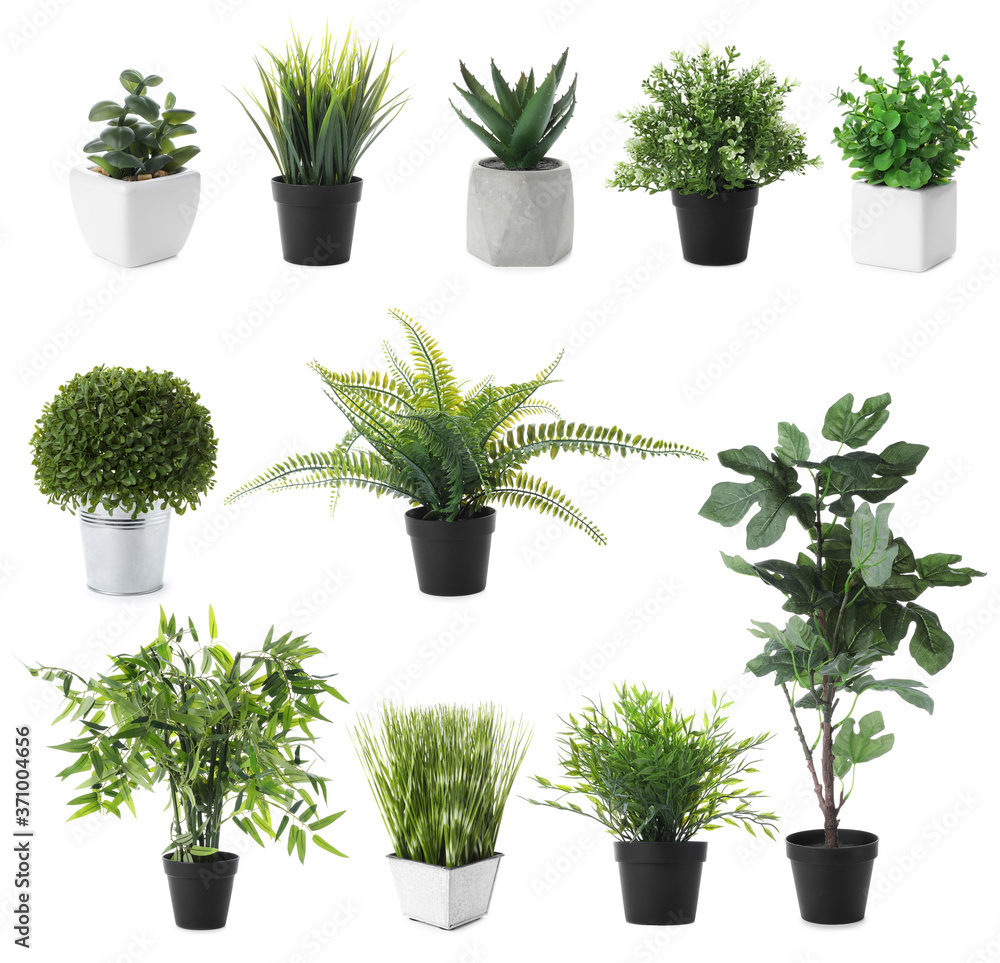 Set of artificial plants in flower pots isolated on white Stock Photo |  Adobe Stock