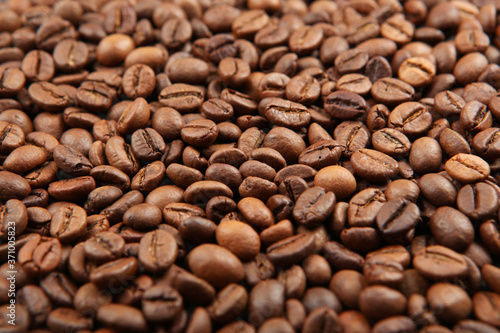 coffee beans on a colored background. Place to insert text  minimalism 
