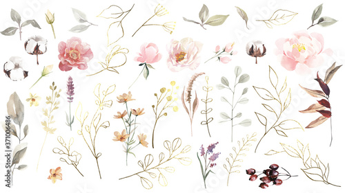 Big set of watercolor and golden leaves, herbs, branches, wildflowers and berries.
