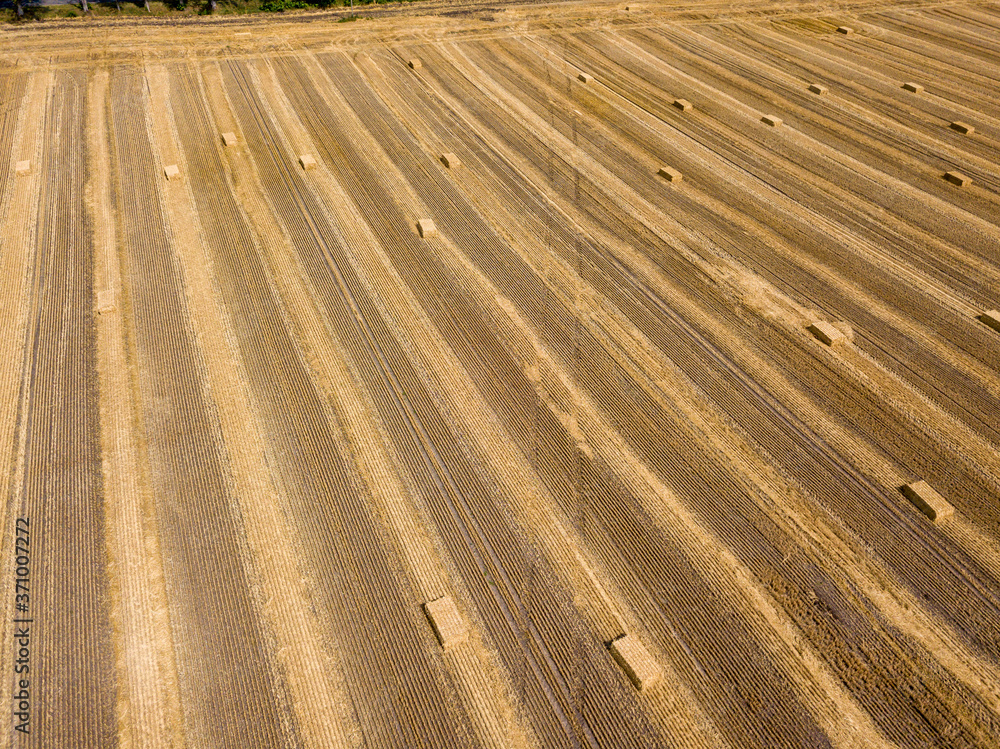 Aerial drone view. Harvested Ukrainian wheat field. Aerial drone view. Harvested Ukrainian wheat field.